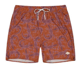 Maillot de Bain Barts Homme Kinghorn Shorts Terra