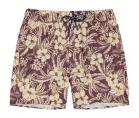 Maillot de Bain Barts Homme Nillas Shorts Prune