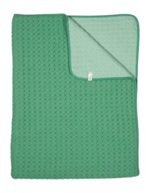 Plaid Pip Studio Fill In The Dots Vert