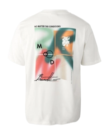 3---2511100085-1001-8