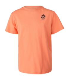 T-Shirt Brunotti Garçon Mikry Melon