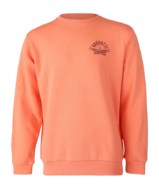 Trui Brunotti Men Naval Melon