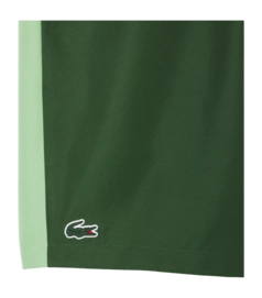 7---GH8961_GDI_31