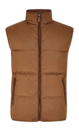 Bodywarmer Dubarry Men Graystown 52 Walnut