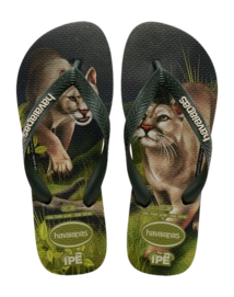 Slipper Havaianas Unisex Ipe Olive Green