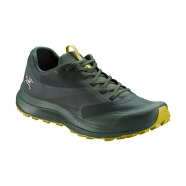 Trail Running Shoes Arc'teryx Men Norvan LD GTX Conifer Everglade