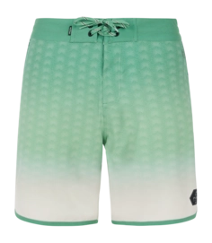 Short de Plage Protest Homme Prtchad Cactus Green