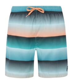 Badeshorts Protest Prtradar Herren Arctic Green