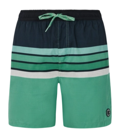 Beach Shorts Protest Men Prtavik Cactus Green