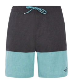 Badeshorts Protest Prtfreddie Herren Arctic Green