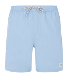Beach Shorts Protest Men Prtbaky Dusty Blue