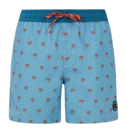 Beach Shorts Protest Men Prtparco Dusty Blue