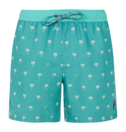 Beach Shorts Protest Men Prtparco Wave Green