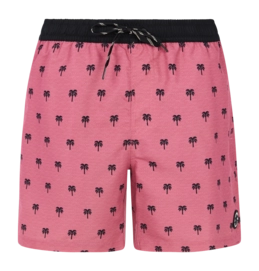 Beach Shorts Protest Men Prtparco Dusk Sky Pink
