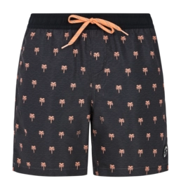 Beach Shorts Protest Men Prtparco Deep Grey
