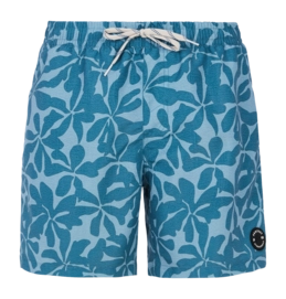 Beachshort Protest Men Prtbaza Raku Blue