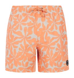 Beach Shorts Protest Men Prtbaza Cadmium Orange