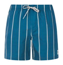Beach Shorts Protest Men Prtgonz Raku Blue
