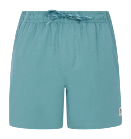 Short de Plage Protest Homme Prtwytona Arctic Green