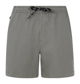 Badeshorts Protest Prtwytona Herren Soil Grey