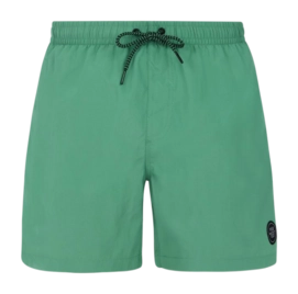 Beach Shorts Protest Men Faster Cactus Green