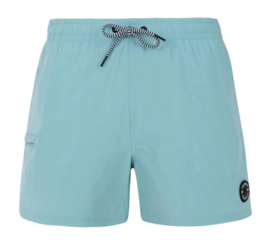 Short de Plage Protest Homme Prtyessine Arctic Green