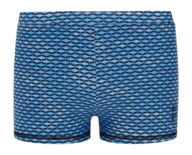 Maillot de Bain Protest Homme Prtbilly Raku Blue