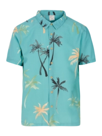 Shirt Protest Men Prtduston SS Arctic Green
