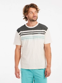 5---17751012_899_model_front-half_01