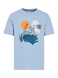 T-Shirt Protest Homme Prtrodas Dusty Blue