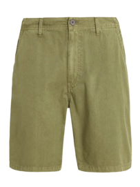 Korte broek Protest Men Prtcomie Artichoke green