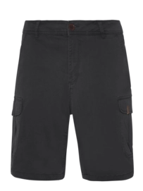 Korte broek Protest Men Prtnytro Cargo Deep Grey