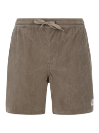Korte broek Protest Men Prtuleyo Soil Grey