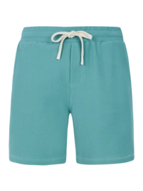 Korte broek Protest Men Prtcraig Arctic Green