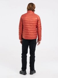 8---6723400_681_model_back-full_01