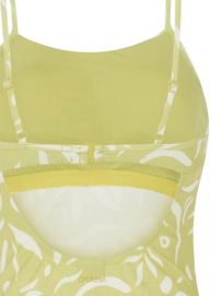 3---77651002_951_detail