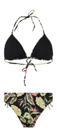 2---72651122_290_back
