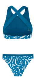 2---72651127_341_back