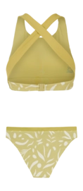 2---72651127_951_back