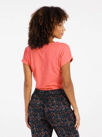 7---17651031_841_model_back-half_01