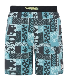 Short de Bain Protest Garçons Prtcody Arctic Green