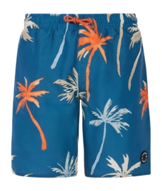 Beachshort Protest Boys Prtbrandon Raku Blue