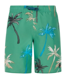 Short de Bain Protest Garçons Prtbrandon Cactus Green