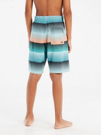 5---71851009_486_model_back-half_01