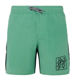 Beachshort Protest Boys Prtnick Cactus Green