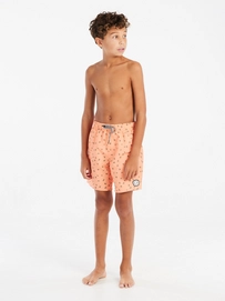 4---71851017_607_model_front-full_01