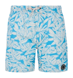 Beachshort Protest Boys Prtcolney Olympic Blue