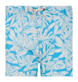 3---resize (80)