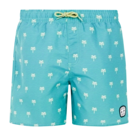 Beach Shorts Protest Boys Prtsteven Wave Green