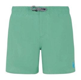 Beachshort Protest Boys Culture Cactus Green